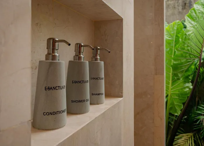 E Sanctuary